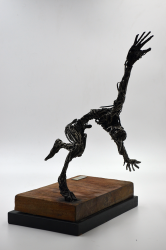 el pájaro