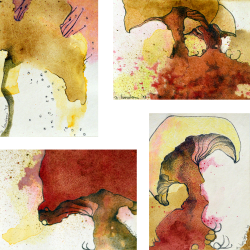 de la serie hongos I, II, III y IV